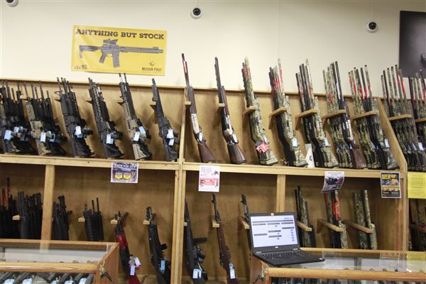 Palmetto State Armory