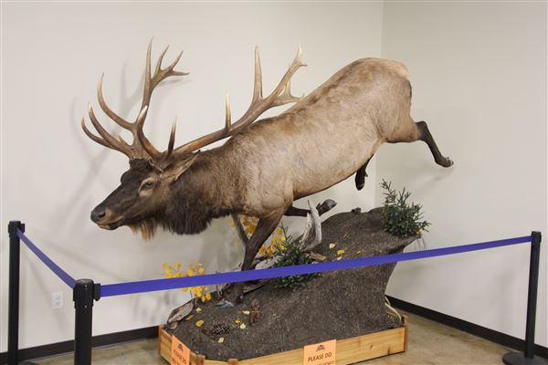 Palmetto State Armory