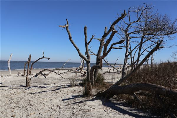 Folly Beach - Lighthouse Inlet Heritage Preserve