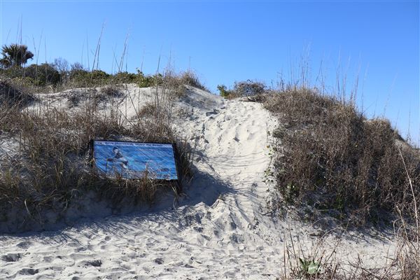 Folly Beach - Lighthouse Inlet Heritage Preserve