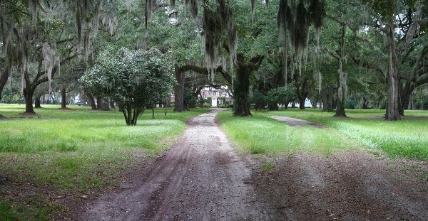Airy Hall Plantation